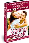 Getting Him Back PDF