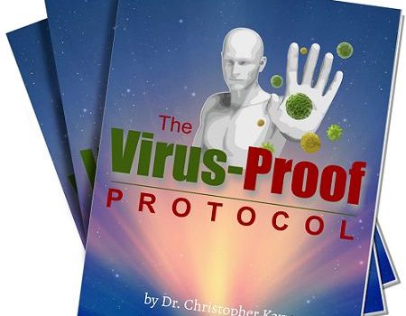 The Virus Proof Protocol e-cover