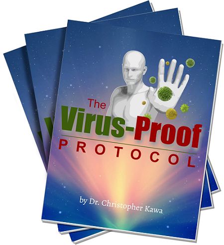 The Virus Proof Protocol e-cover