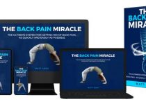 Back Pain Miracle System PDF